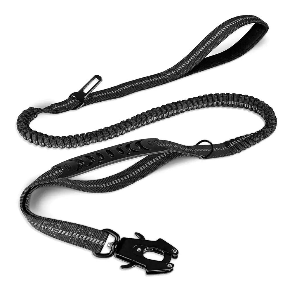 Dog Leash with Buckle