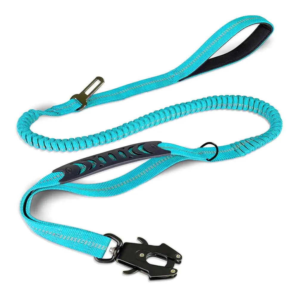 Dog Leash with Buckle