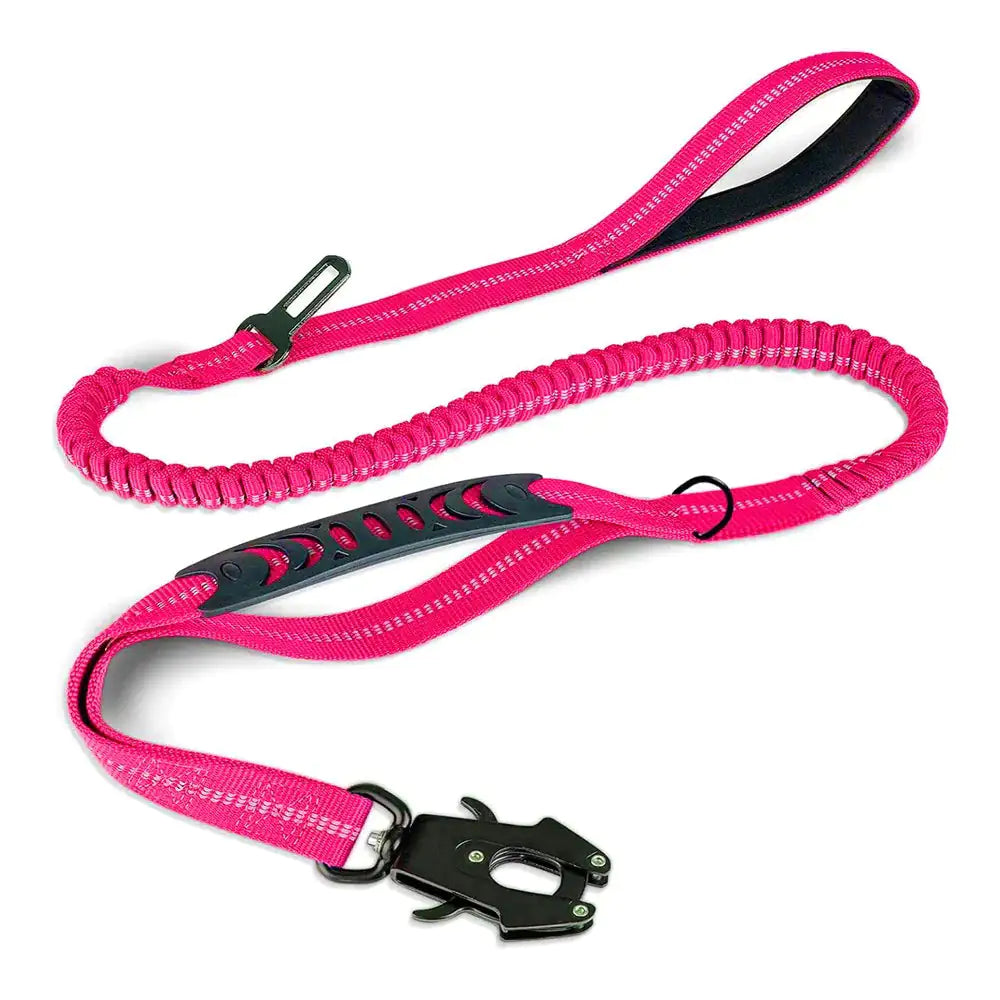 Dog Leash with Buckle