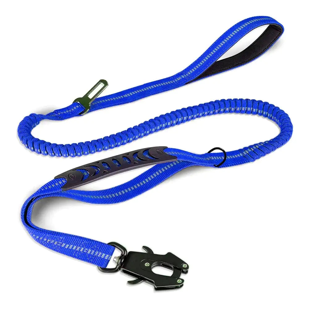 Dog Leash with Buckle