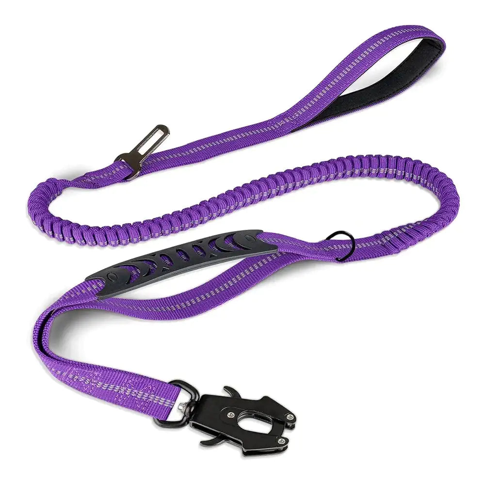 Dog Leash with Buckle