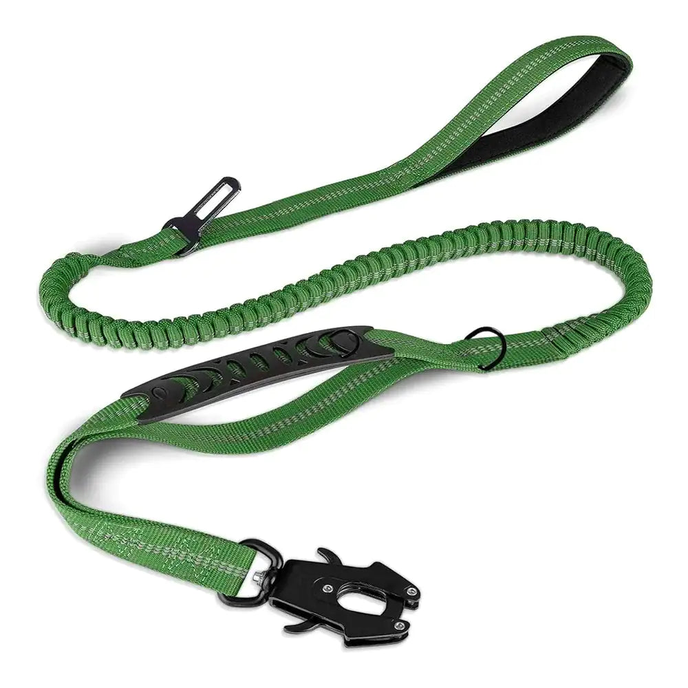 Dog Leash with Buckle