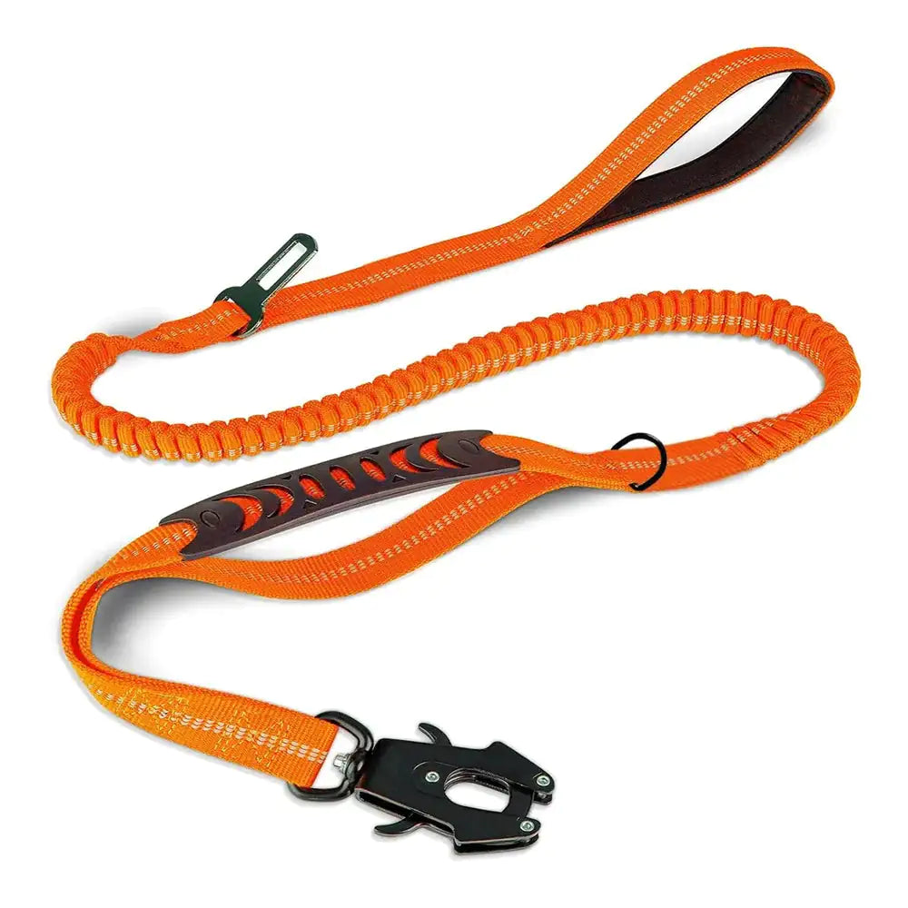 Dog Leash with Buckle