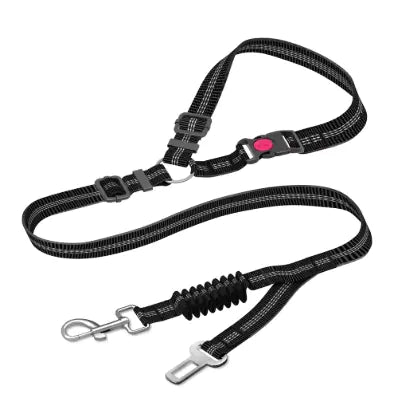 Dog Leash with Buckle